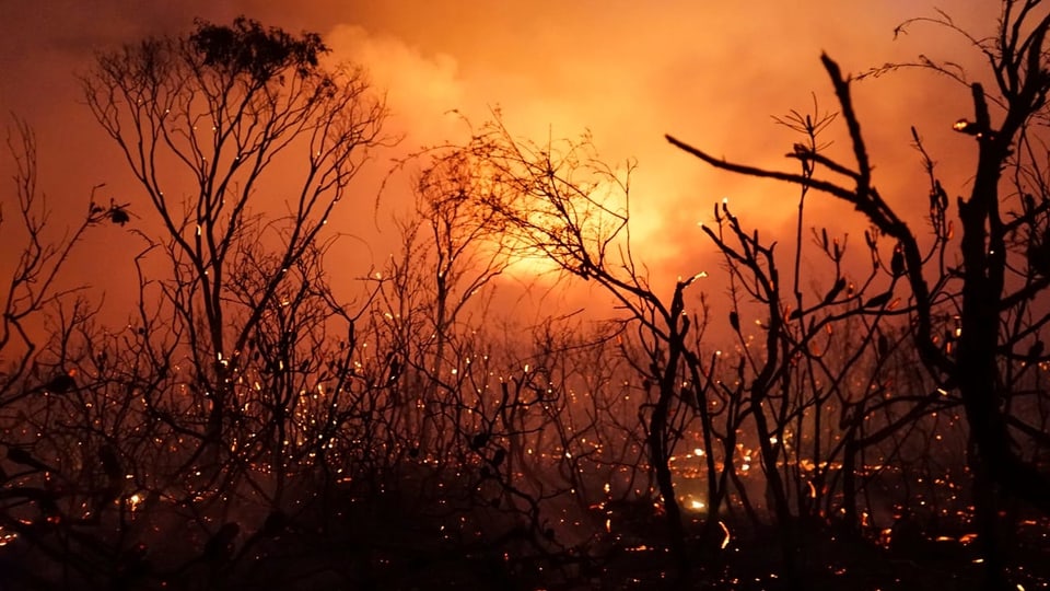 Buschbrand im November 2018 in Queensland