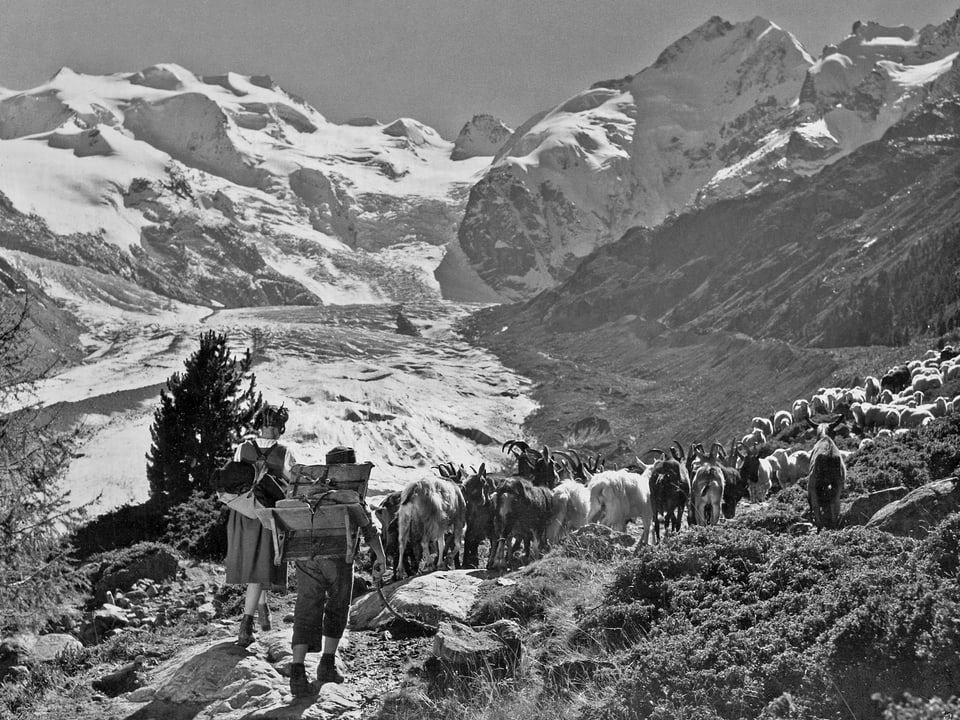 Heidi und Peter wandern mit den Ziegen Bergauf. Im Hintergrund erstreckt sich der Gletscher.