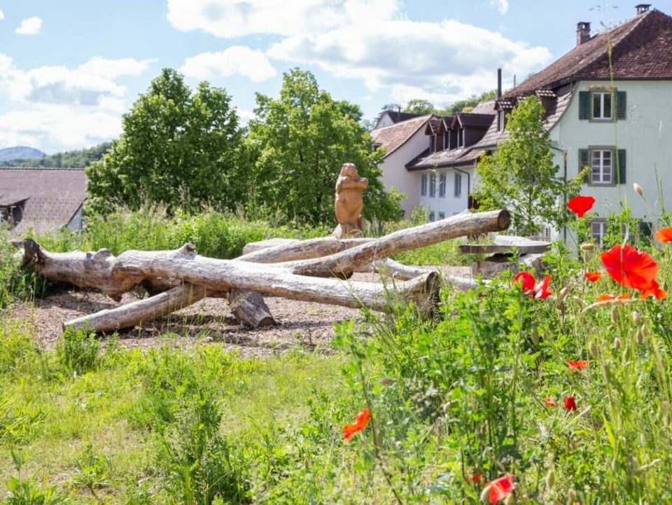 Holzstämme, Biberskulptur, Mohnblumen, Häuser im Hintergrund.