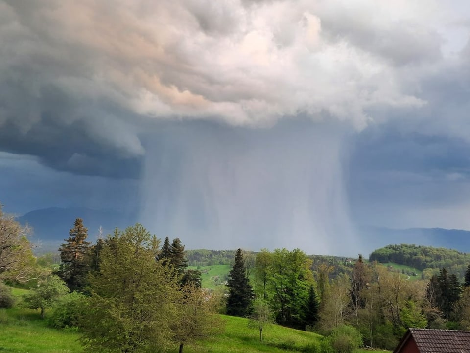 Dunkle Wolken, die sich punktuell mit einem Regenvorhang entladen über grüner Landschaft. 