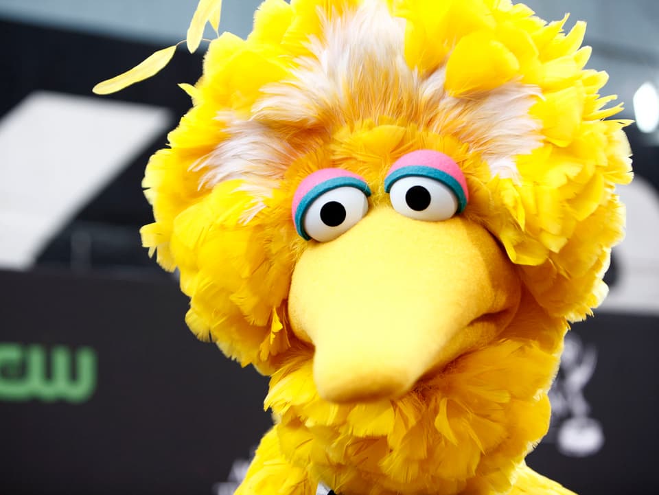 Kandidat Mitt Romney wollte der Sesamstrasse die Subventionen streichen. Der gelbe Vogel wurde zum Wahlkampf-Symbol.