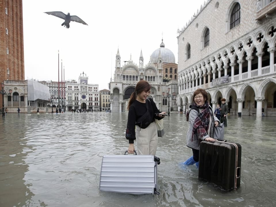 Touristen mit Koffern