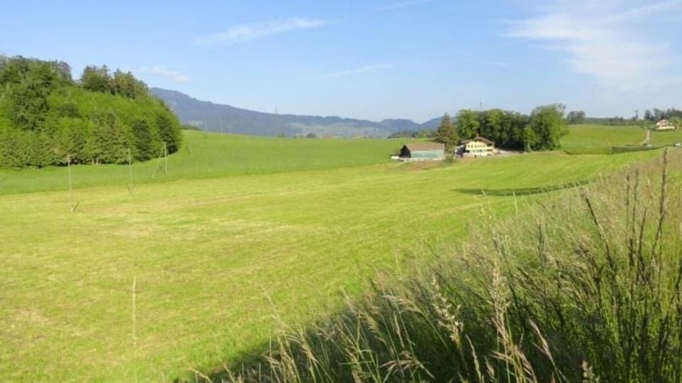 Das Gebiet Eyacher in der Gemeinde Thierachern.