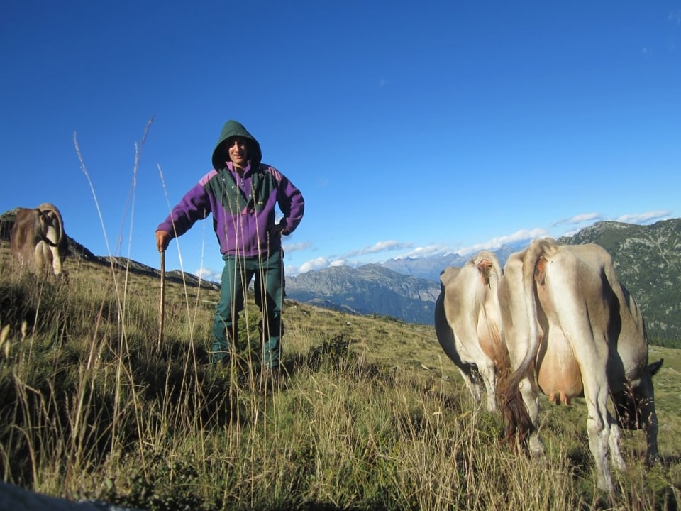Matteo auf der Alp Lago Gelato mit Kühen.