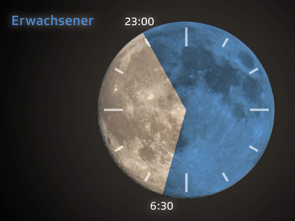 Grafische Darstellung des Schlafbedarfs eines Erwachsenen.