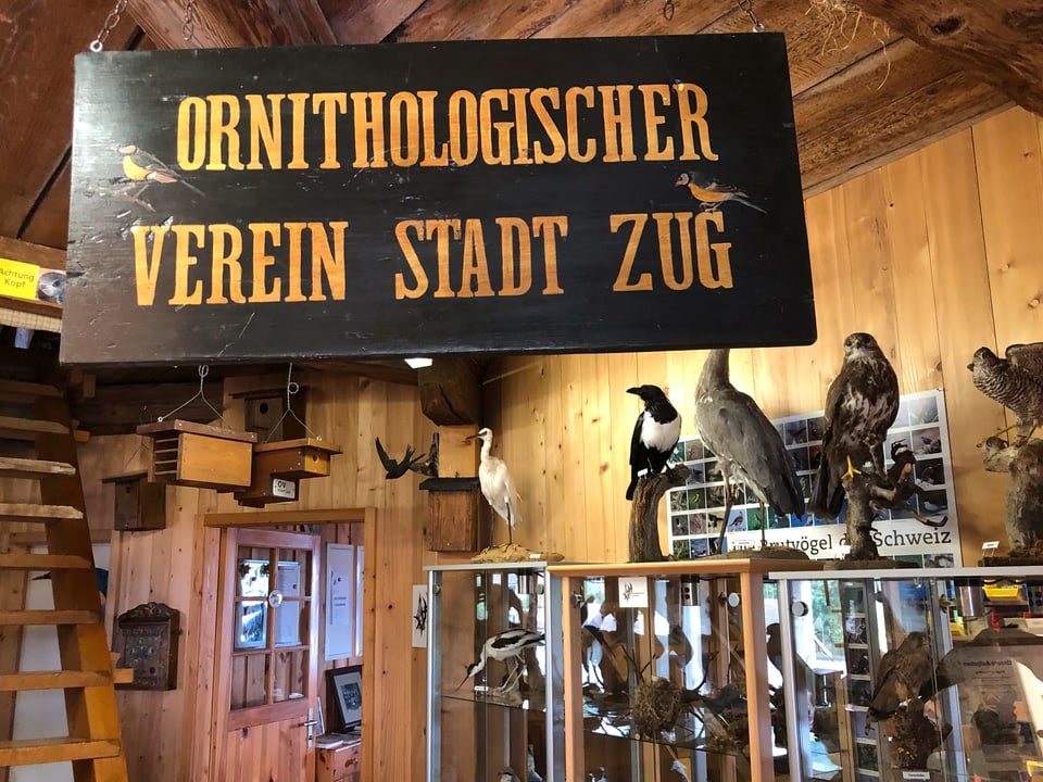 Eine aufgehängte Tafel des Ornithologischen Vereins im Pulverturm.