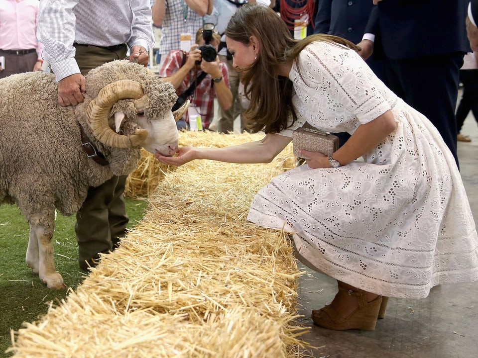 Herzogin Kate füttert ein Schaf