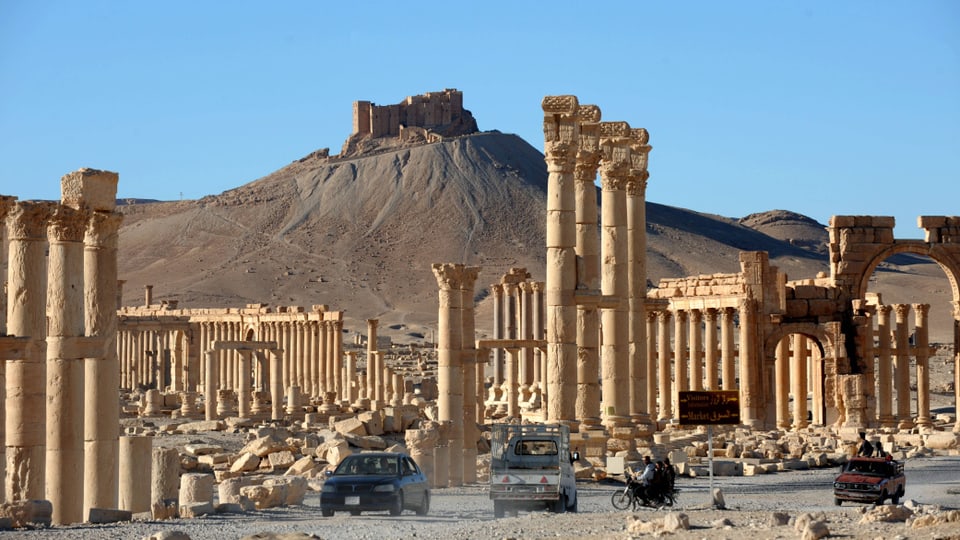 Dutzende Säulen auf dem Gelände der ehemaligen Wüstenstadt Palmyra, Autos vorne, ein Berg hinten.