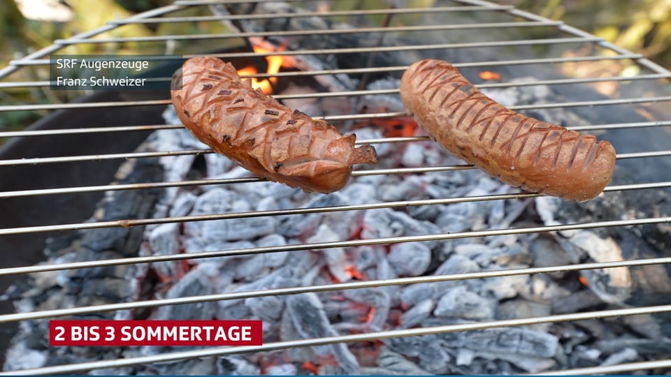 Grill mit zwei Cervalats