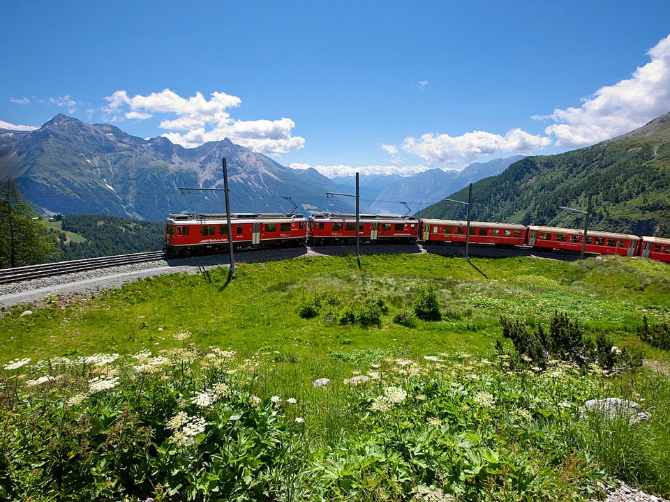 Roter Zug fährt durch sommerliche Alpenlandschaft.