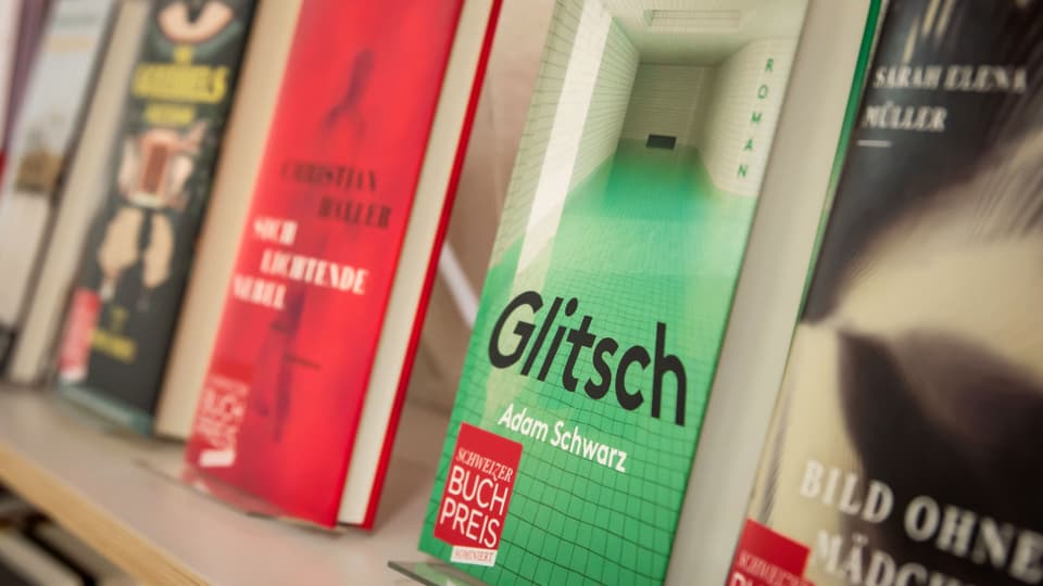 Schweizer Buchpreis: Literaturredaktorin Katja Schönherr über die Nominierten
