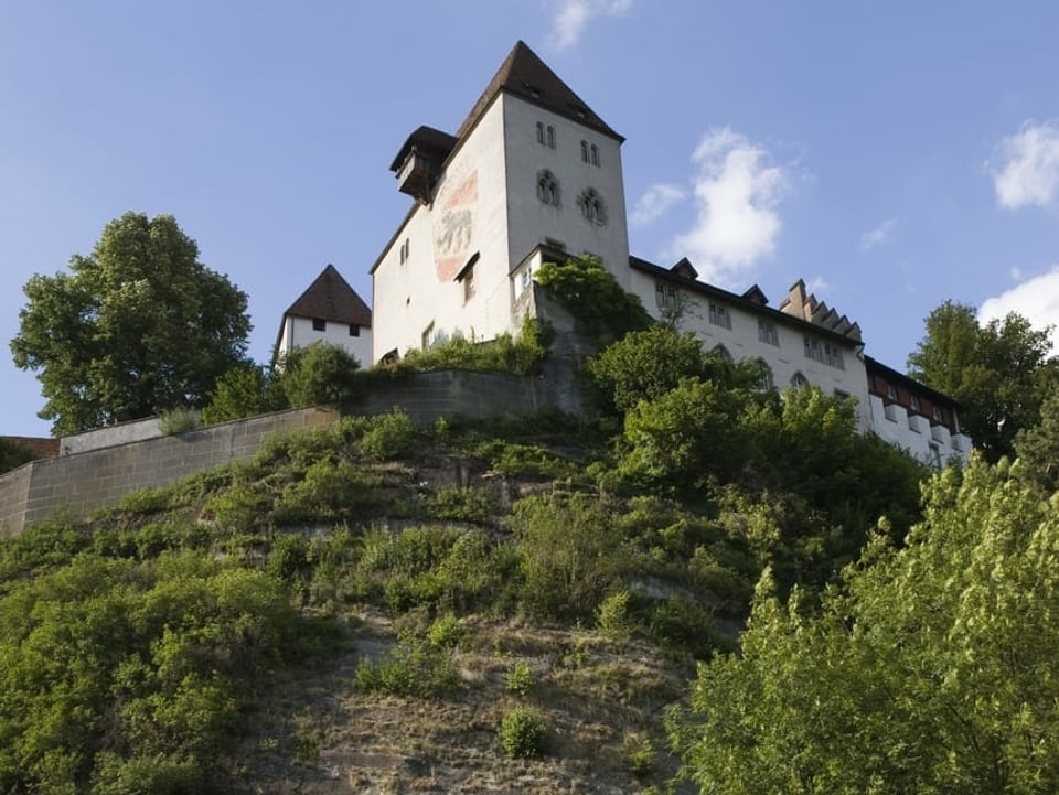 Schloss auf Hügel