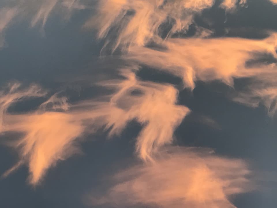 rötliche Federwolken