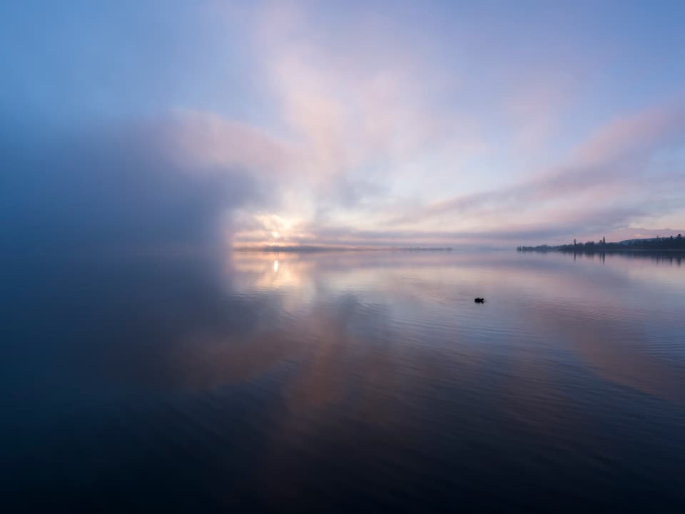 Blick auf den Greifensee mit einem Haubentaucher auf dem Wasser. Links im Bild zieht eine Nebelwand auf. Rechts im Bild sieht man am Horizont die Sonne aufgehen.