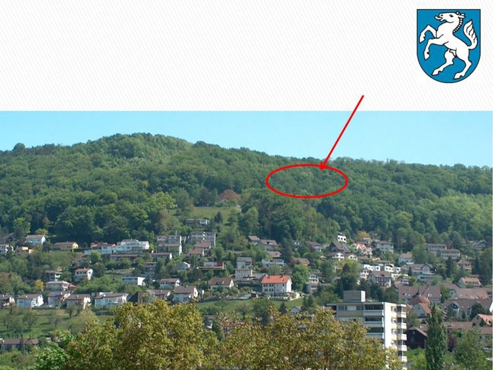 Bild von der einen talhälfe bei Füllinsdorf. Im Wald ist ein roter Kreis eingezeichnet und ein Pfeil zeigt auf den Ort, wo sich der Hang verschieb.