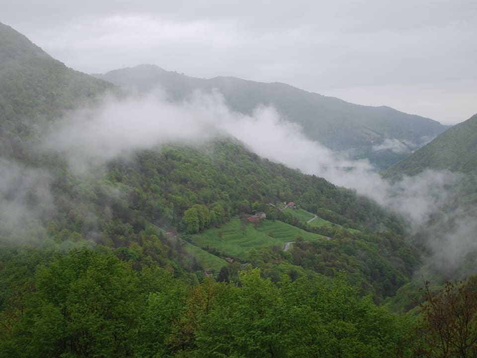 Nebelschwaden liegen über dem grünen Tal. 