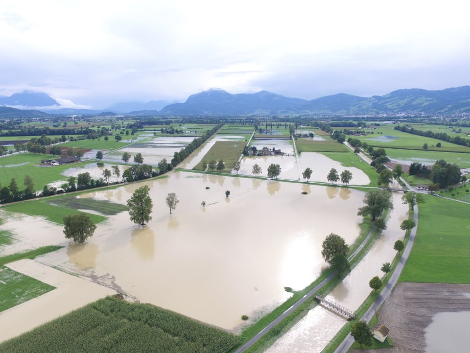 Überschwemmte Felder bei Balgach/SG.