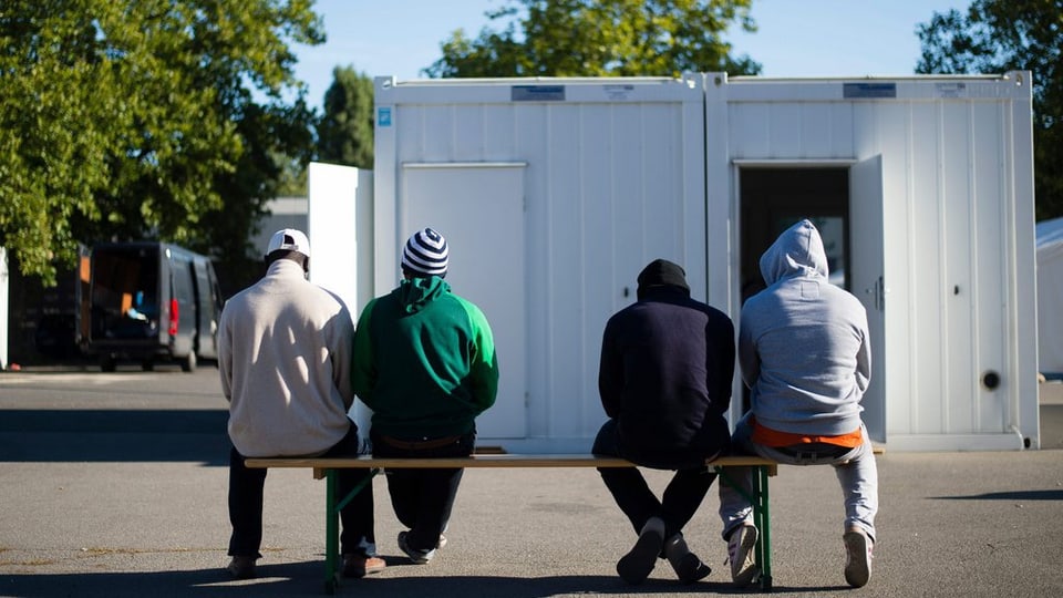 Vier Asylbewerber von hinten fotografiert sitzen auf einer Bank vor einem Wohncontainer