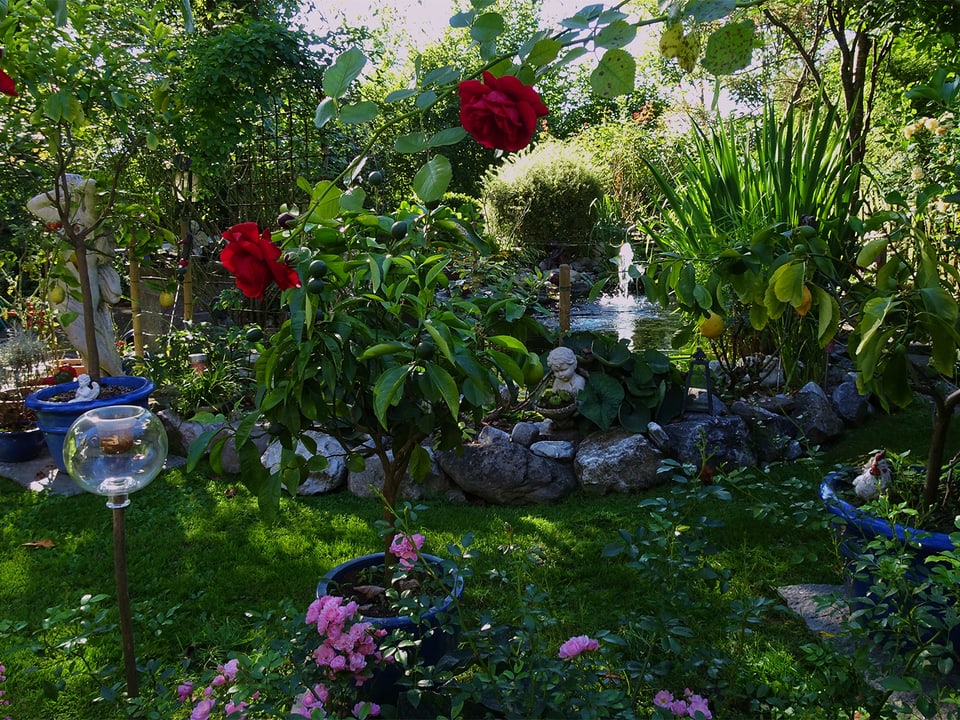 Garten mit Teich und Blumen. 