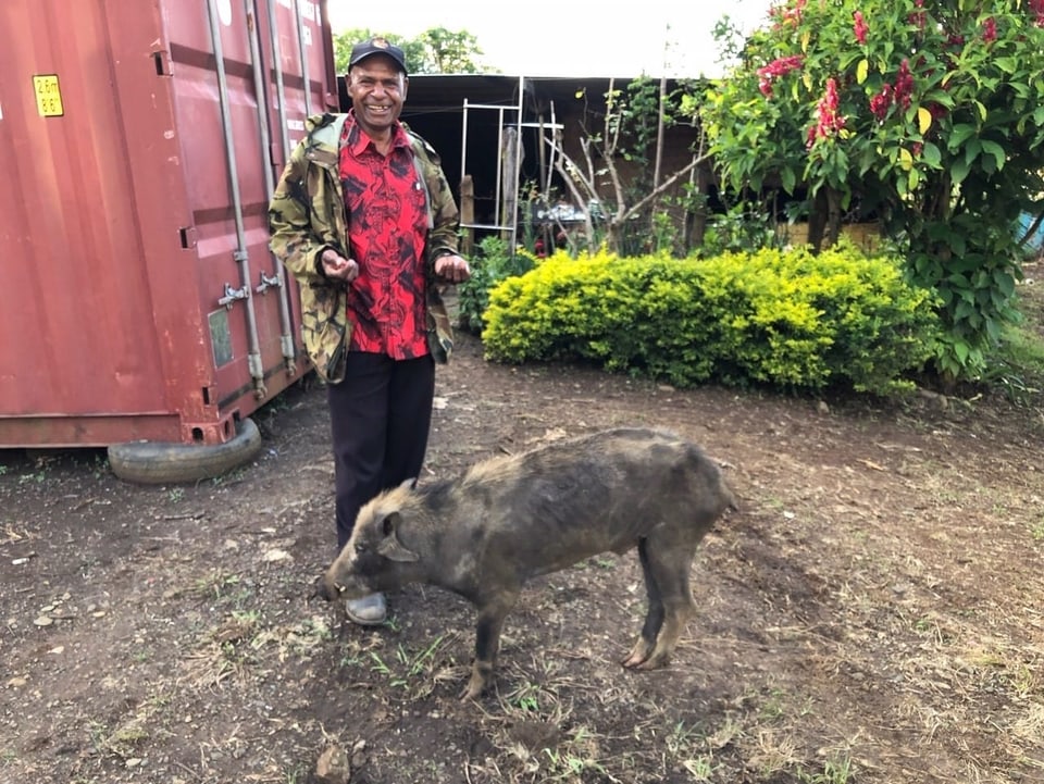 Tom Gerry mit seinem Schwein