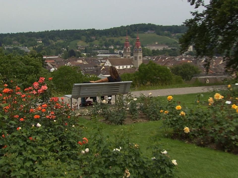 Der Rosengarten in Winterthur gehört ebenfalls zu den historischen Gärten der Schweiz.