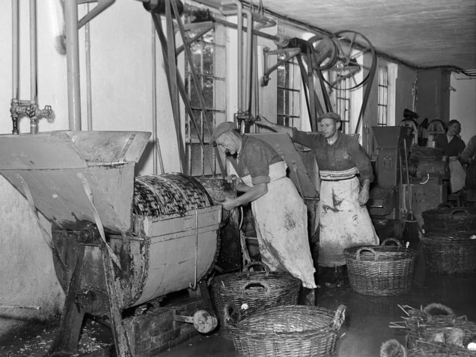 Zuckerfabrik Aarberg 1952