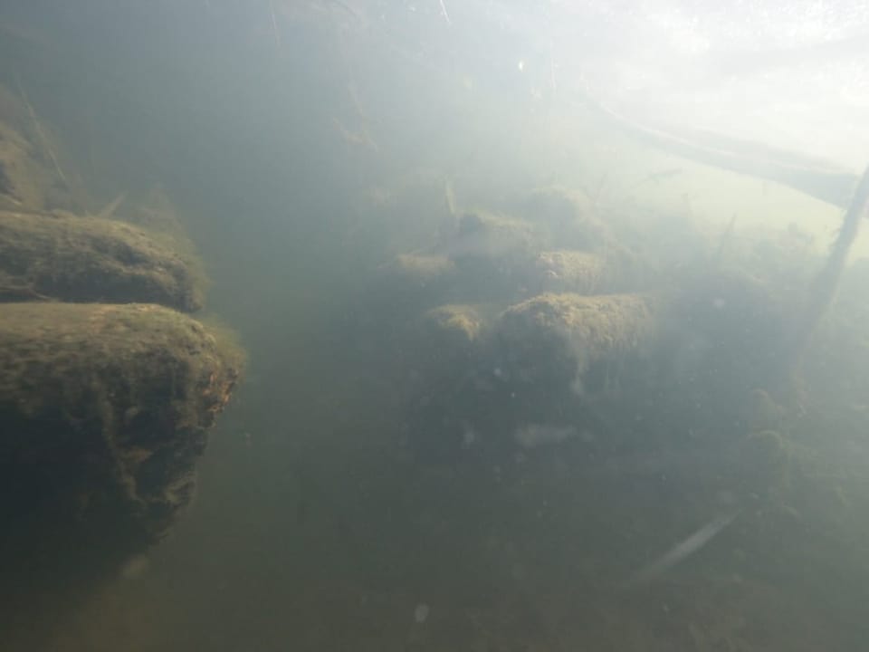 Unterwasserbild