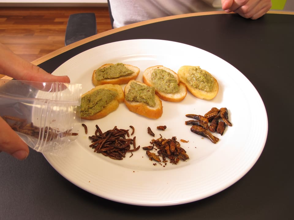 Erbsen-Mehlwurm-Paste mit Wasabi, geröstete Mehlwürmer, Grillen und Heuschrecken.