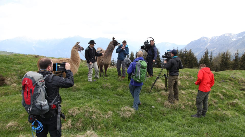 Zwei Lamas mit Besitzerin inmitten der TV-Crew. 
