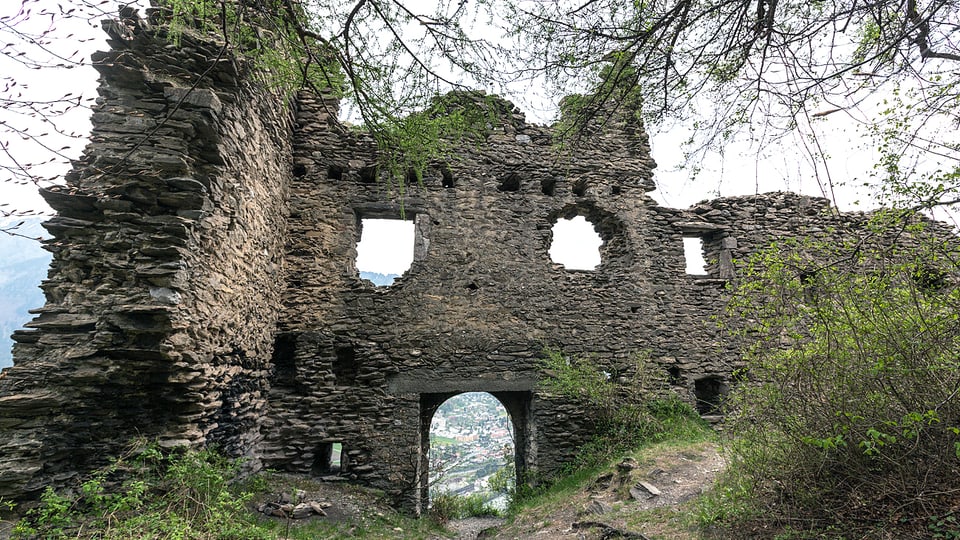 Eine Burg, die mit Gestrüpp überdeckt ist.