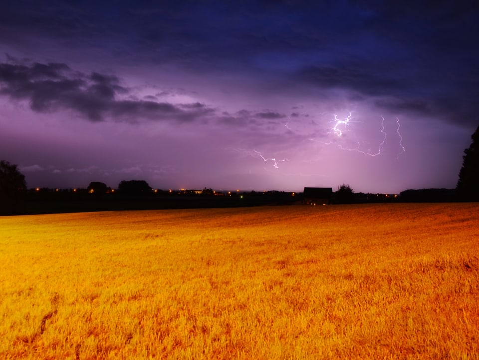 Blick über ein Feld auf ein Gewitter mit mehreren Blitzen.