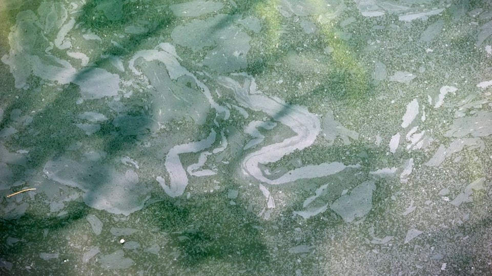 Wenn Öl in Wasser gelangt, bildet sich ein Ölfilm auf der Wasseroberfläche. (Symbolbild)