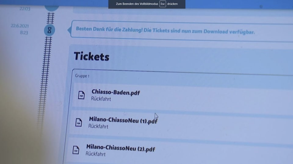 Blick auf die Website von Simple Train