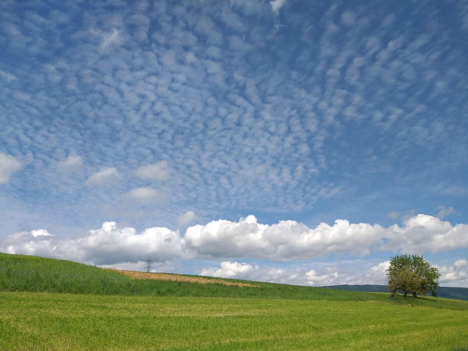 Dünne Wolkenfelder mit Muster, fleckenartig.