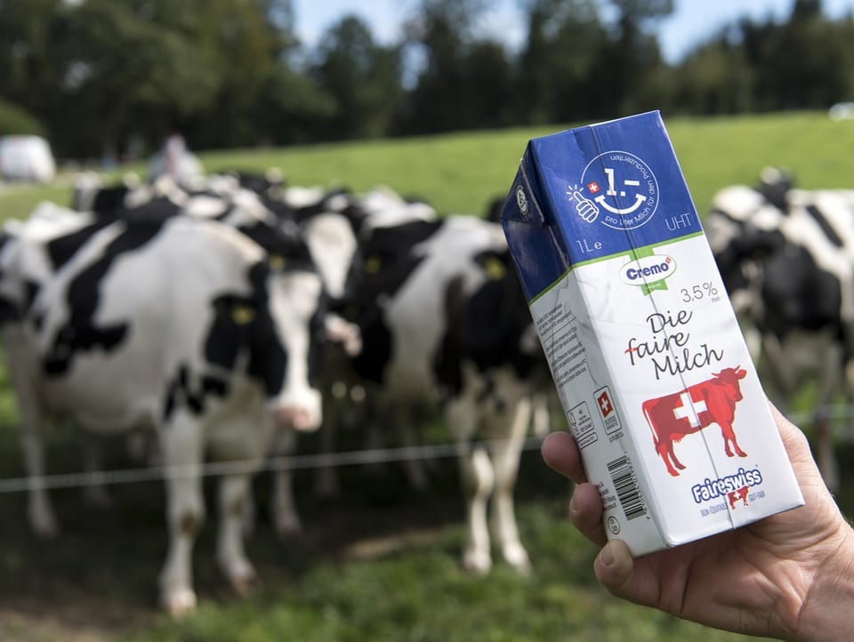 Cremo Milchpackung, im Hintergrund Kühe