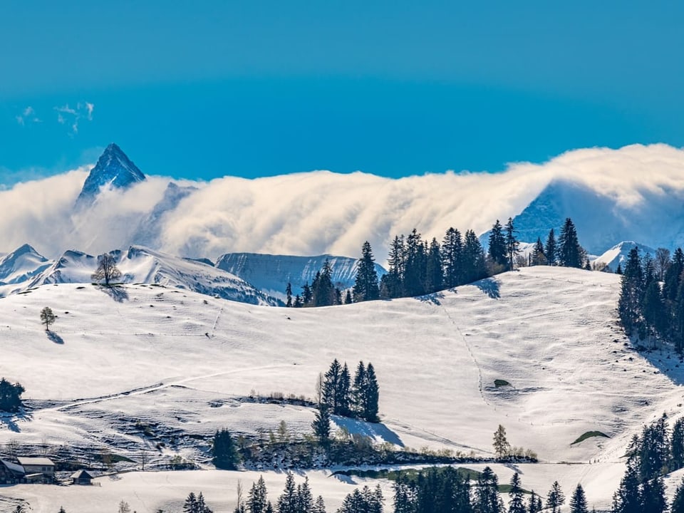 Verschneite Berglandschaft mit bewaldeten Hängen und blauem Himmel