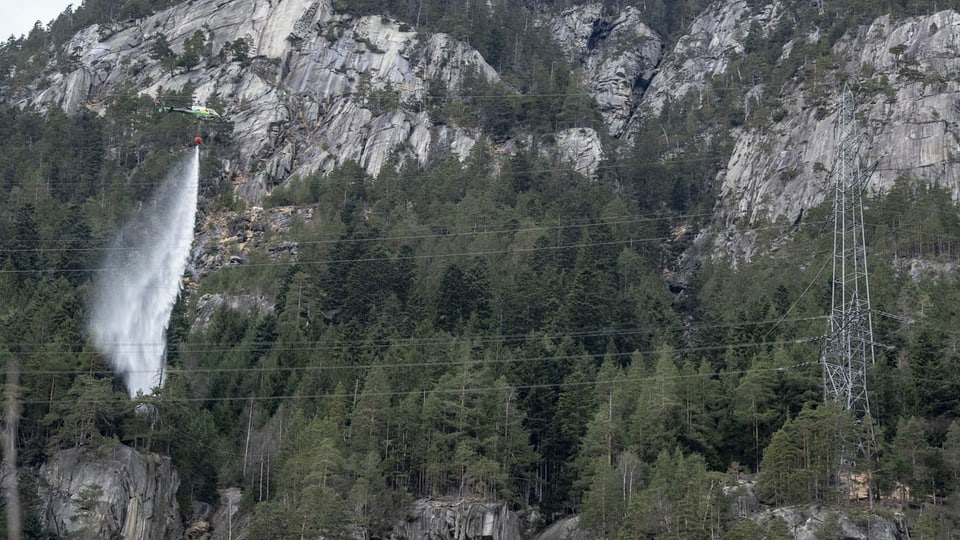 Löschhelikopter in Waldgebiet