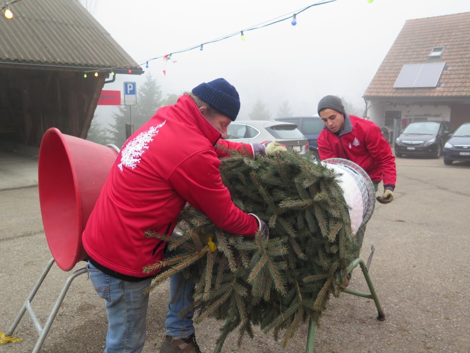 Zwei Männer drücken Christbaum in Röhre.