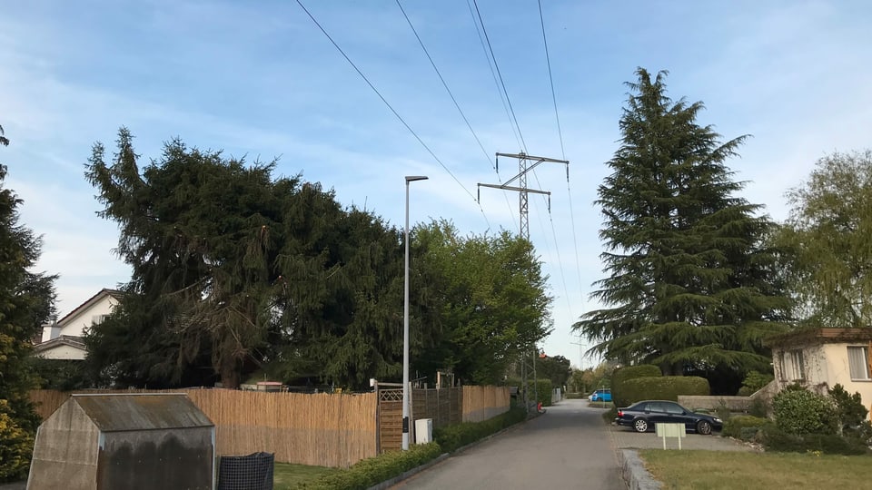 Stromleitung zwischen Häusern und neben Strasse