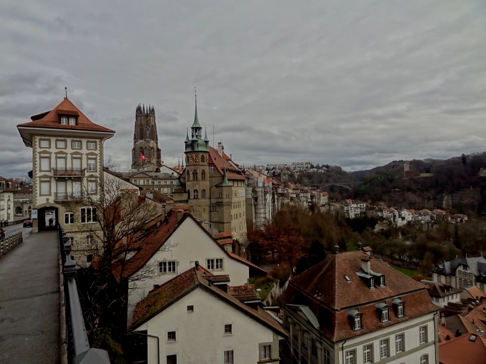Die Stadt Freiburg mit der Kathedrale. Der Himmel ist grau und wolkenverhangen.