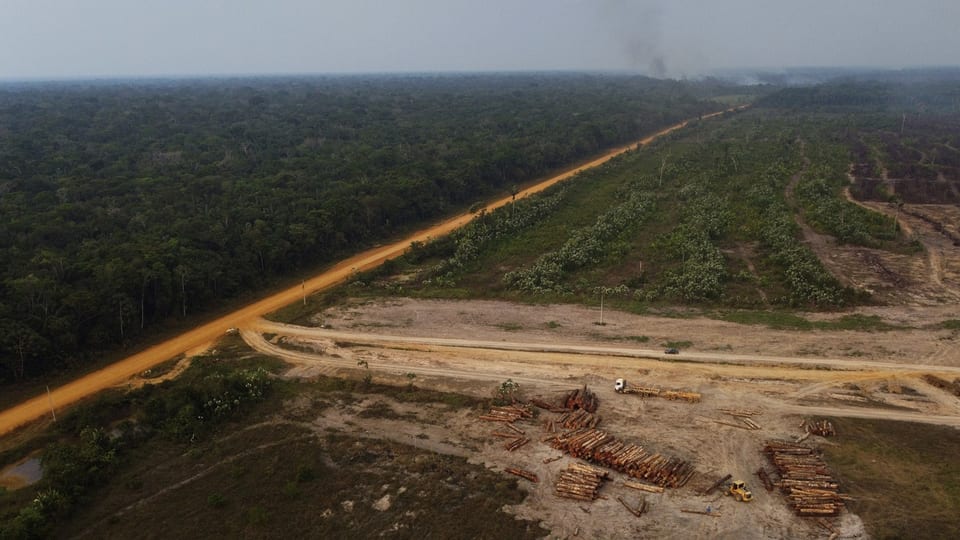 Eine Luftaufnahme von einem Teil des Amazonasregenwalds. Gestapelte Holzstämme sind zu sehen.