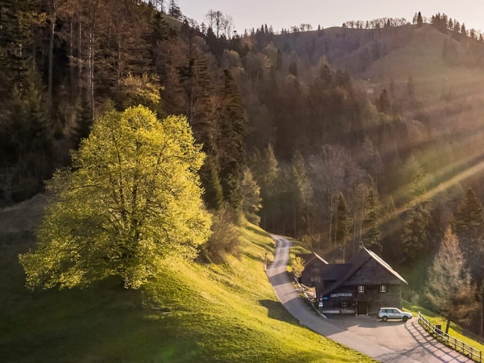 Im saftig grünen Wald ist die Sennhütte unter dem Schnebelhorn zu sehen