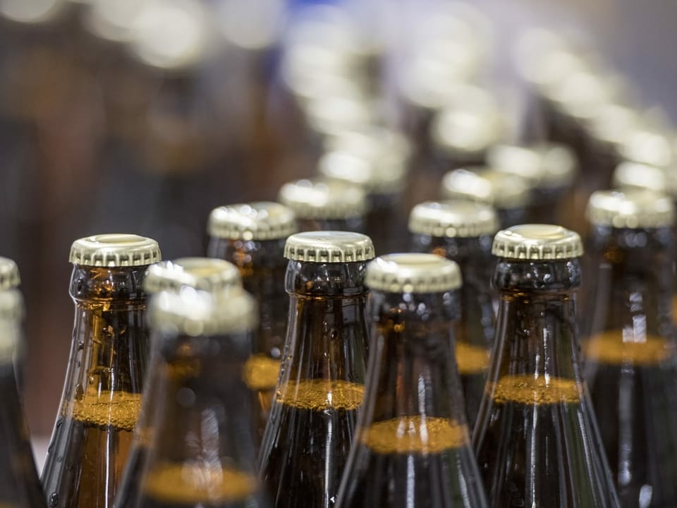 Volle Bierflaschen laufen über das Laufband einer Brauerei.