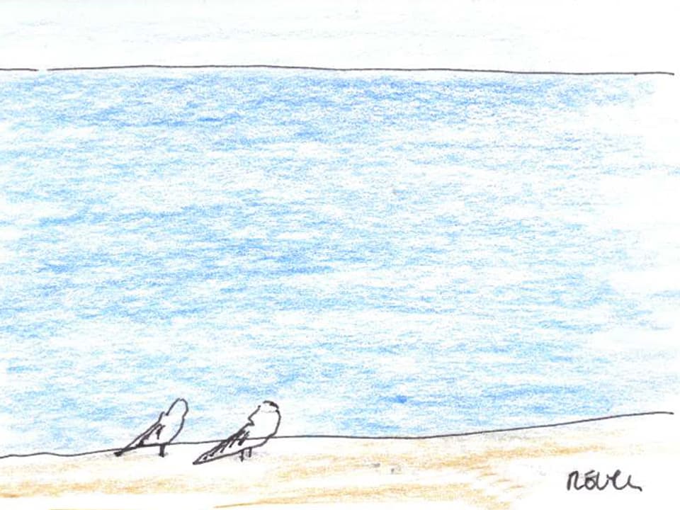 Zeichnung zweier Möven, die nebeneinander am Strand stehen.