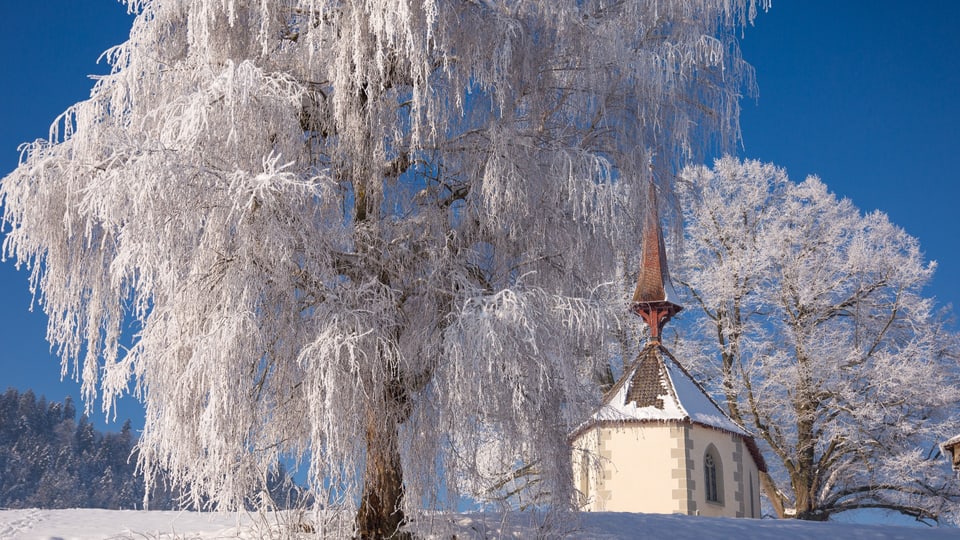 Winterstimmung in Ettiswil