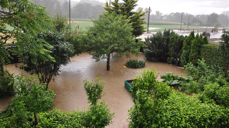 Überschwemmter Garten in Neuenegg