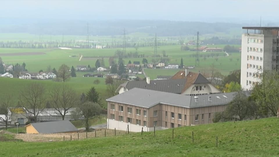 Heim