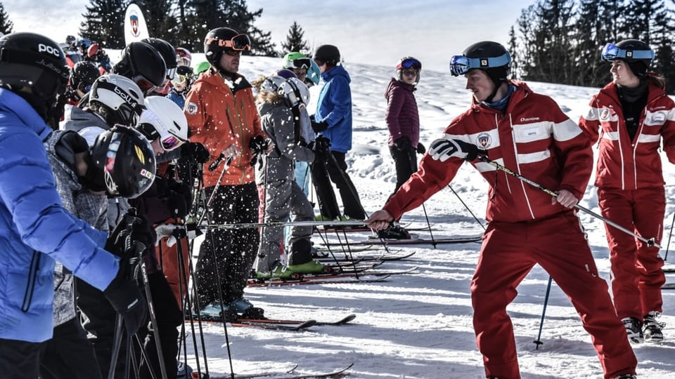 Links stehen Kinder mit Skihosen und -Jacken auf den Skiern. Rechts stehen Skilehrerin und -lehrer,