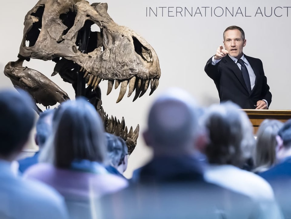 Cyril Koller, CEO des Auktionshauses Koller, gestikuliert neben dem Kopf des T-Rex-Skeletts «Trinity».