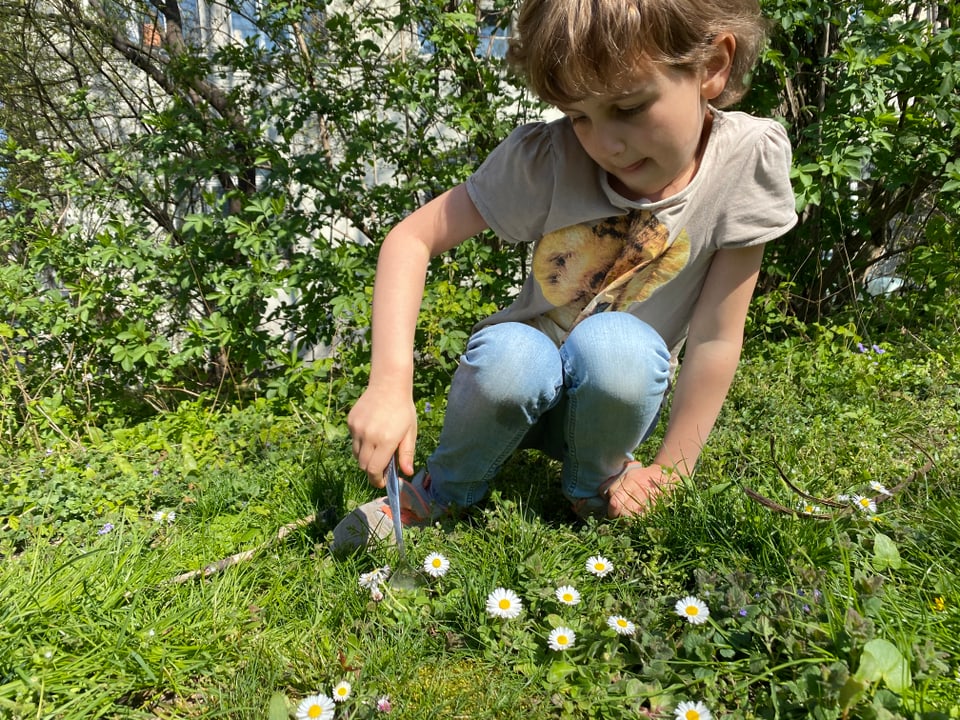 Mädchen sticht Blume aus.